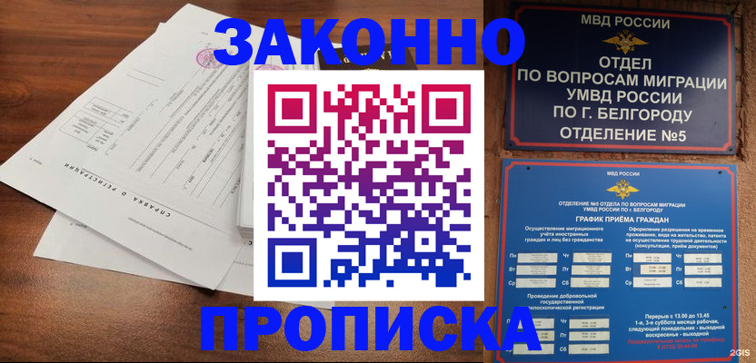 прописка в Вологде